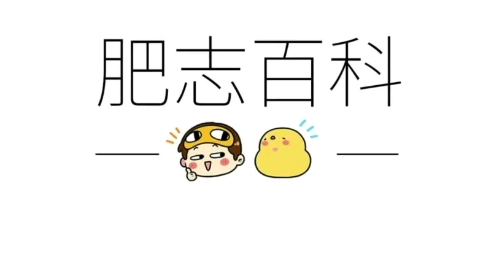 肥志百科之姓氏刘哔哩哔哩bilibili