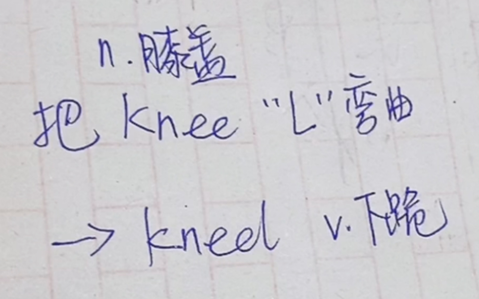 英语单词速记knee、kneel哔哩哔哩bilibili