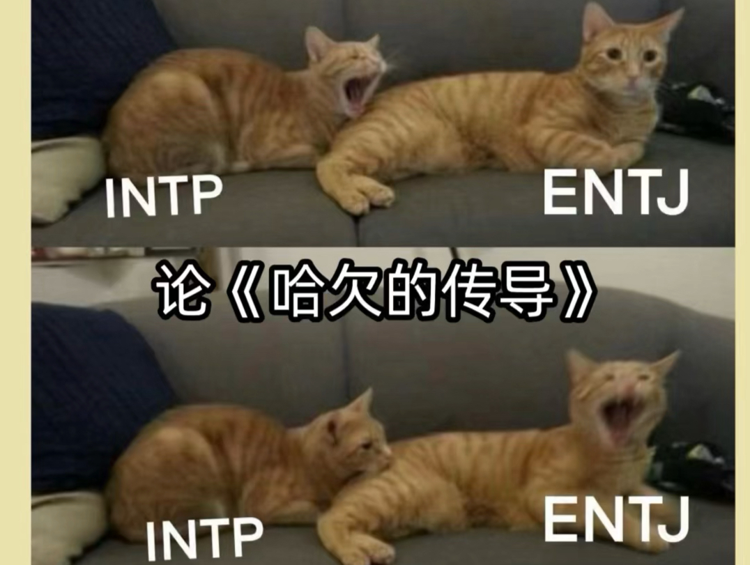 intp缺德梗图哔哩哔哩bilibili