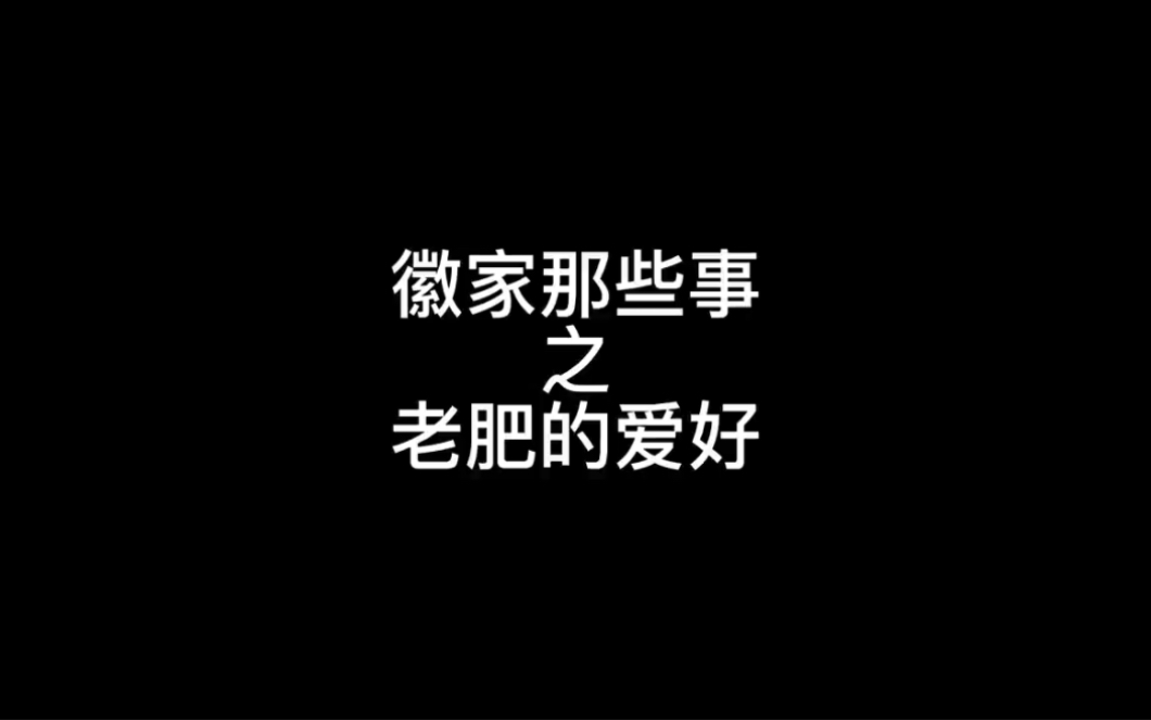 徽家那些事之老肥的爱好哔哩哔哩bilibili