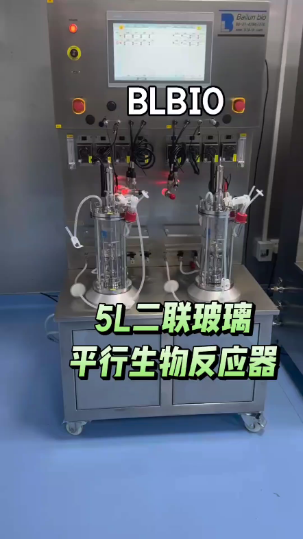 百仑多套5L二联玻璃平行生物反应器服务#合成生物学#精准发酵#发酵工艺#菌种筛选#生物制造#绿色生物制造#生物医药#医美大健康#合成生物学数据验证平...