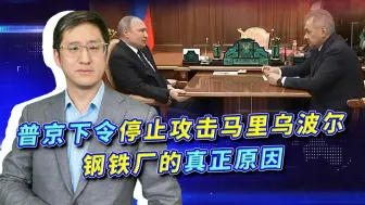 Video herunterladen: 普京下令停止攻击马里乌波尔钢铁厂，这块骨头为何不让俄军啃完？