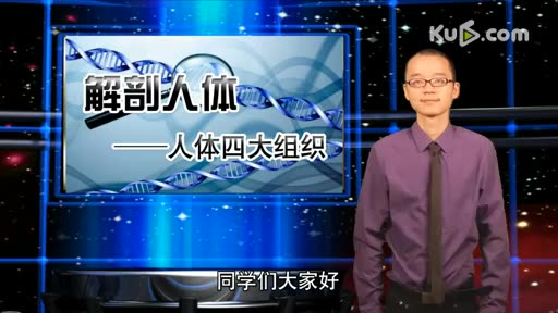 【学霸备战中考】初中生物人体组织哔哩哔哩bilibili