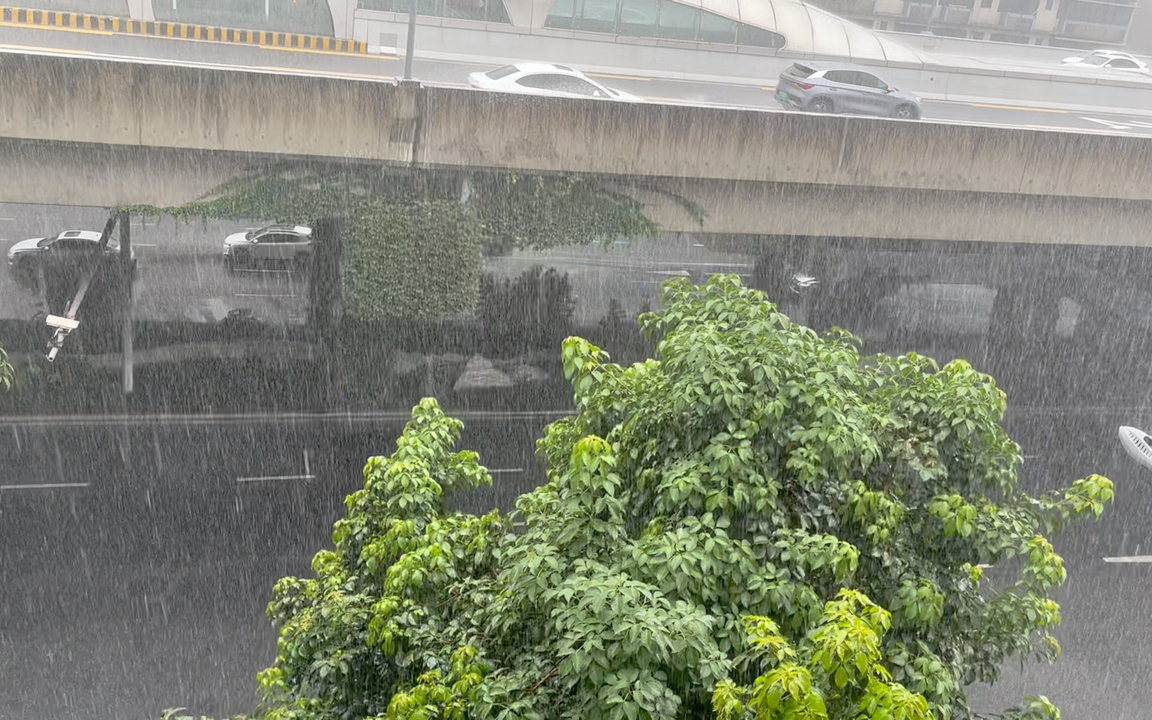 "成都在大雨中焕发新魅力!
