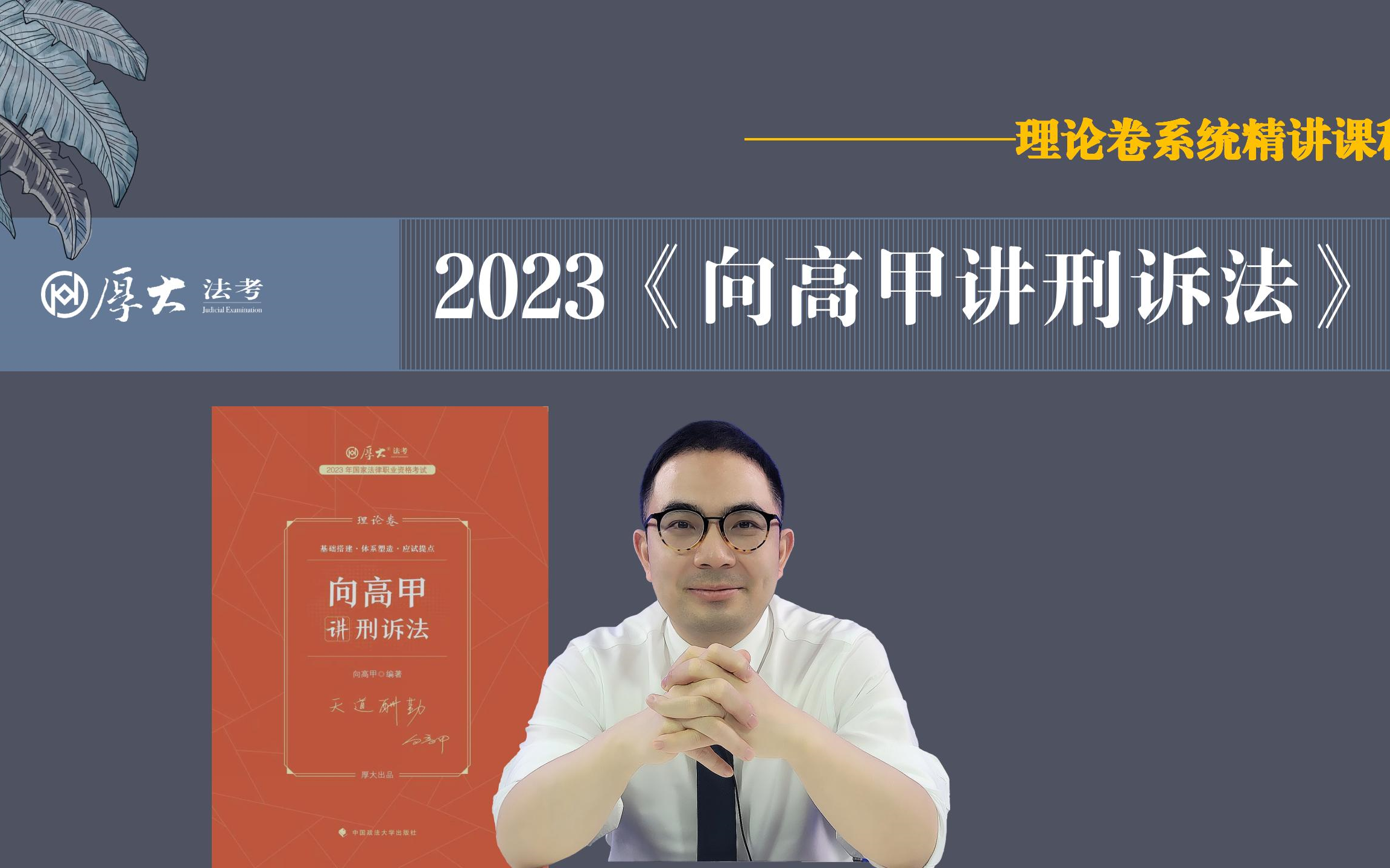 [图]2023年法考向高甲讲刑诉理论精讲课程