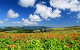 車山高原 搜索结果 哔哩哔哩 Bilibili