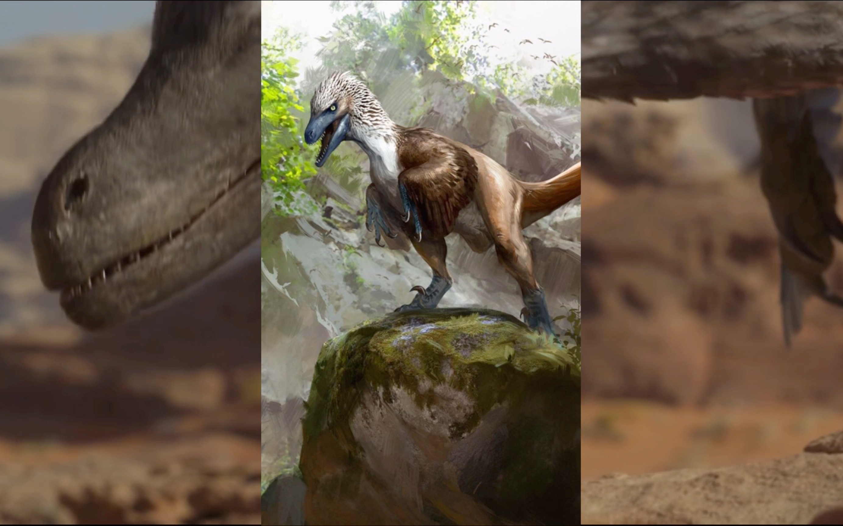 驰龙家族〗冥河盗龙