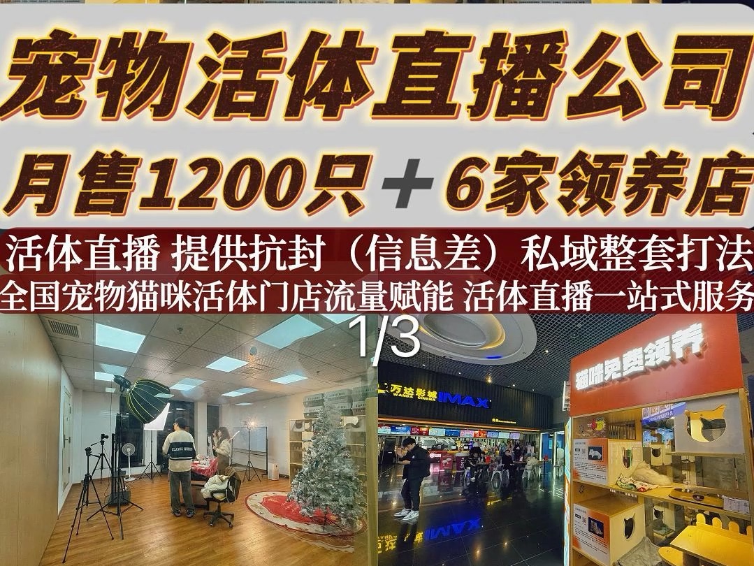 宠物活体直播公司 月销1200只jia6家领养店 第一集哔哩哔哩bilibili