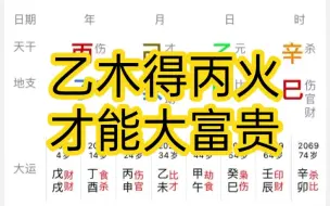 下载视频: 乙木，想大富贵，丙火伤官很重要