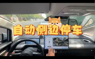 Télécharger la video: 宝骏云朵第一视角侧方自动泊车，以后不学科目二了