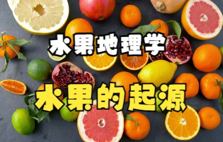 你吃的水果产地是哪里?快了解一下“水果地理学”吧!哔哩哔哩bilibili