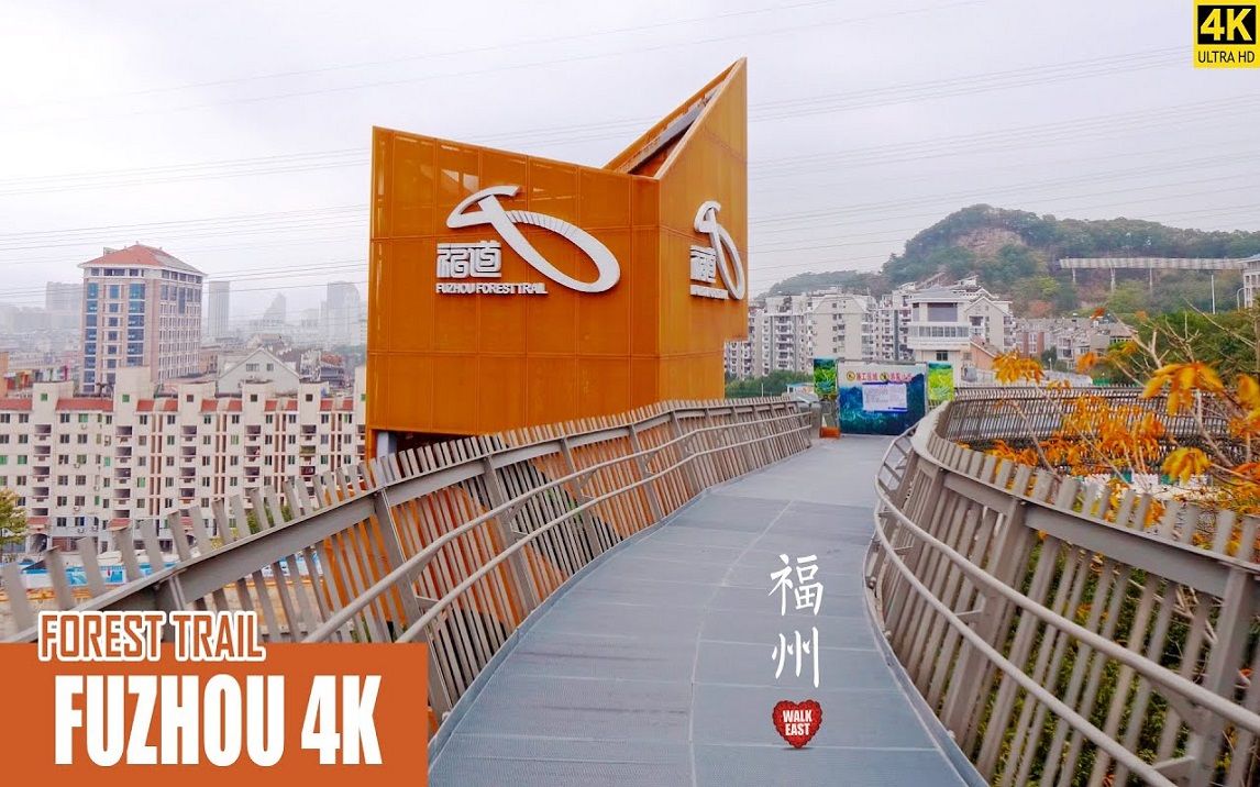 【4K】福州福道 | Walking on Fuzhou Treetop Walkway哔哩哔哩bilibili