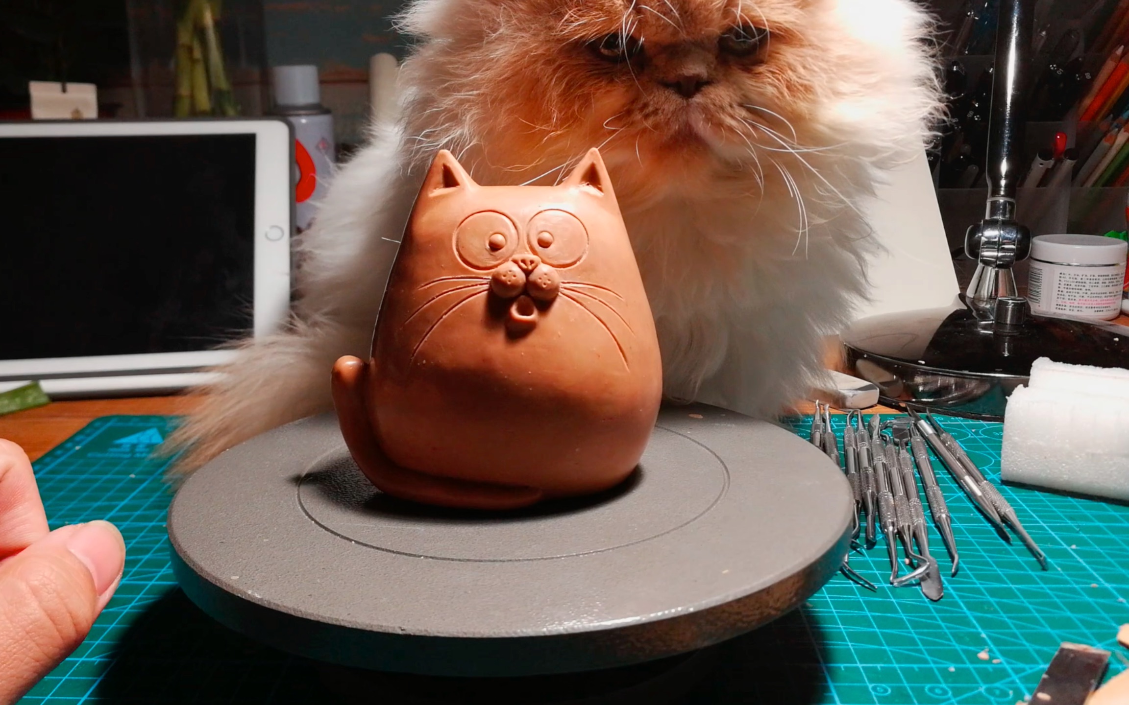 泥塑·一只丑猫的诞生by发神经_哔哩哔哩 (゜-゜)つロ 干杯~-bilibili