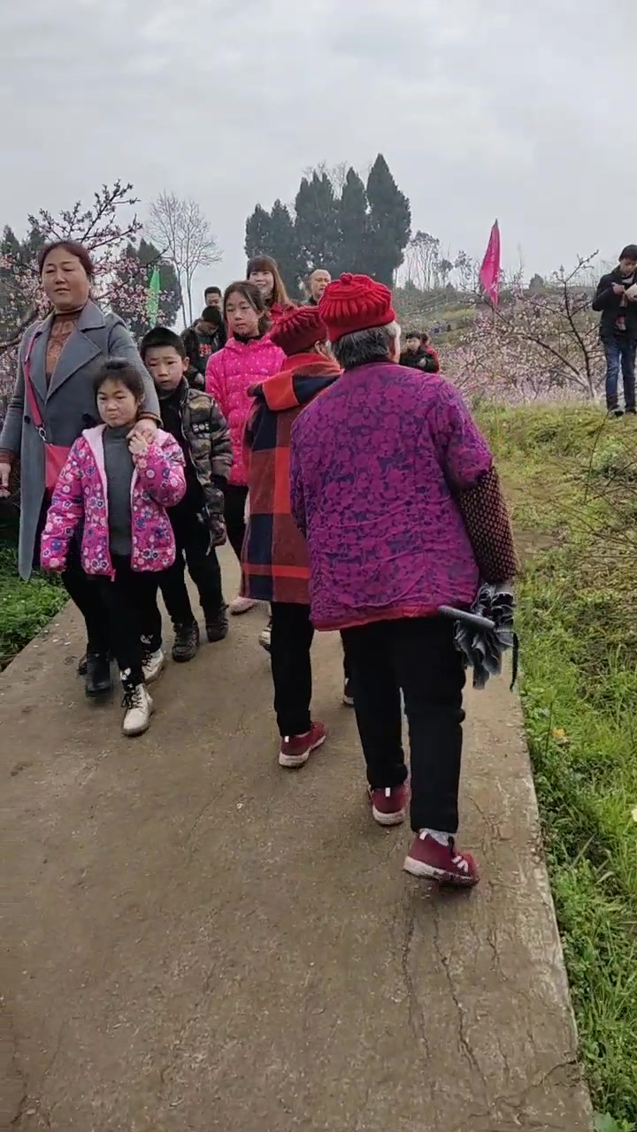 [图]山坡坡上的桃花节，无人问津的荒山今天人气爆棚！