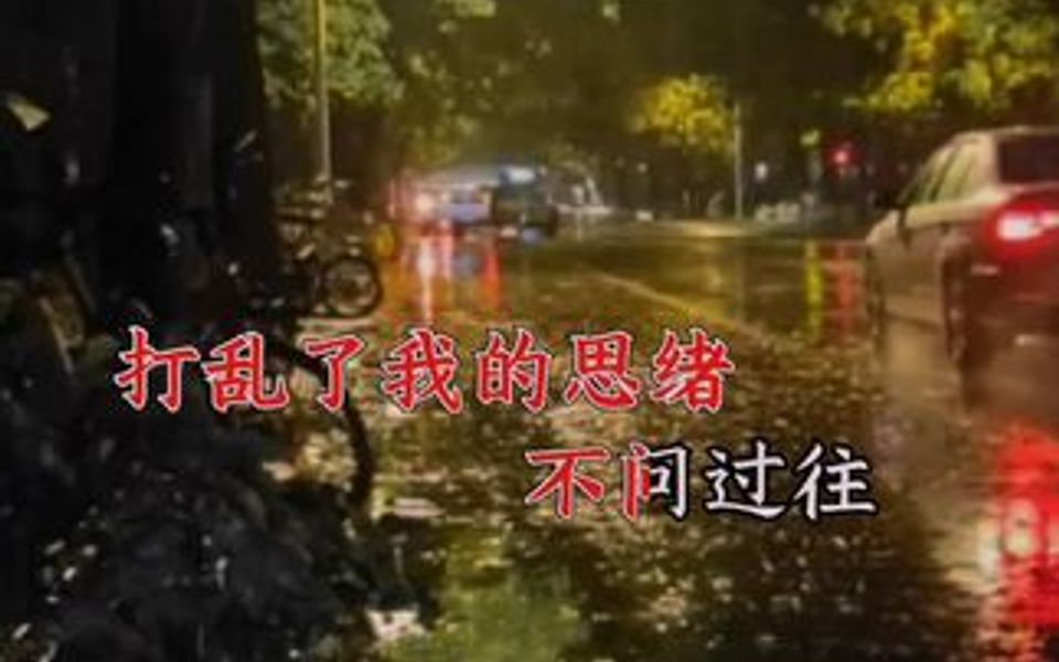 [图]大雨淋湿了我的回忆，却始终忘不掉最可爱的你……