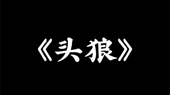 [图]野狼特战队 头狼