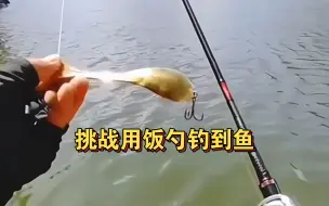 Video herunterladen: 鱼真的吃铁，铁勺也能钓到鱼。