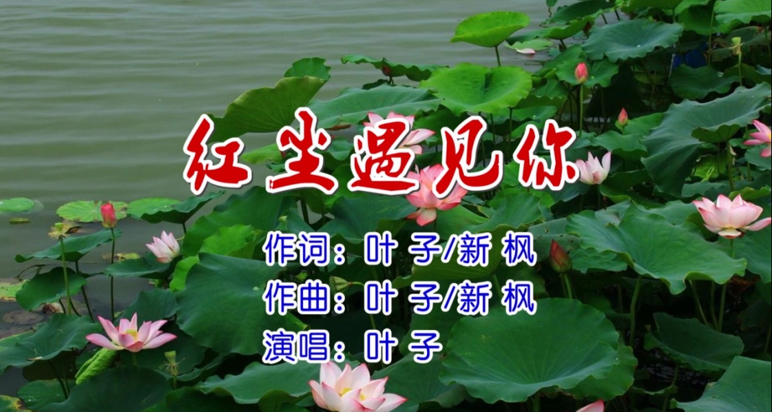 《红尘遇见你》 演唱:叶子 词曲:叶子/新枫
