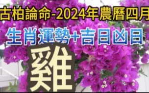 Download Video: 【张古柏】每月运势+吉日凶日】2024年农历四月(阳历2024年5.8 ~ 6.5)生肖运势——鸡