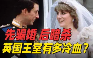 Download Video: 一个女人的死，差点让英国王室消失丨戴安娜王妃