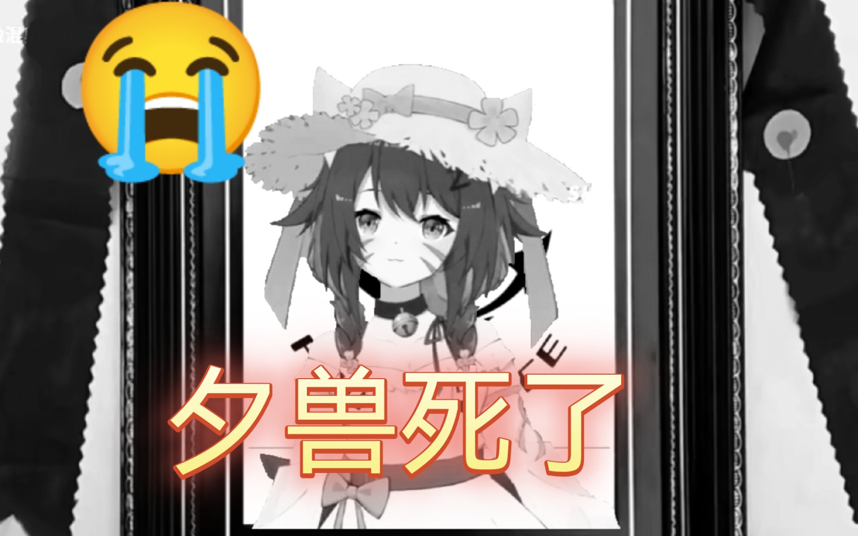 夕——兽——𐟘�”哩哔哩bilibili