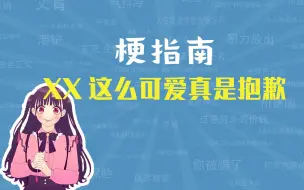 Download Video: XX这么可爱真是抱歉是什么梗【梗指南】