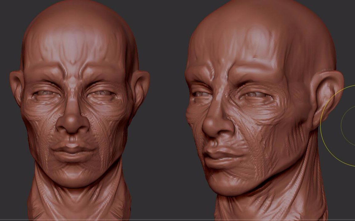 zbrush三视图图片