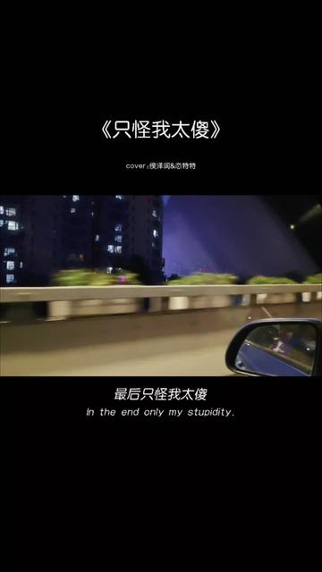 "一次次的信任,却换来一次次的欺骗,终究还是我太天真……"
