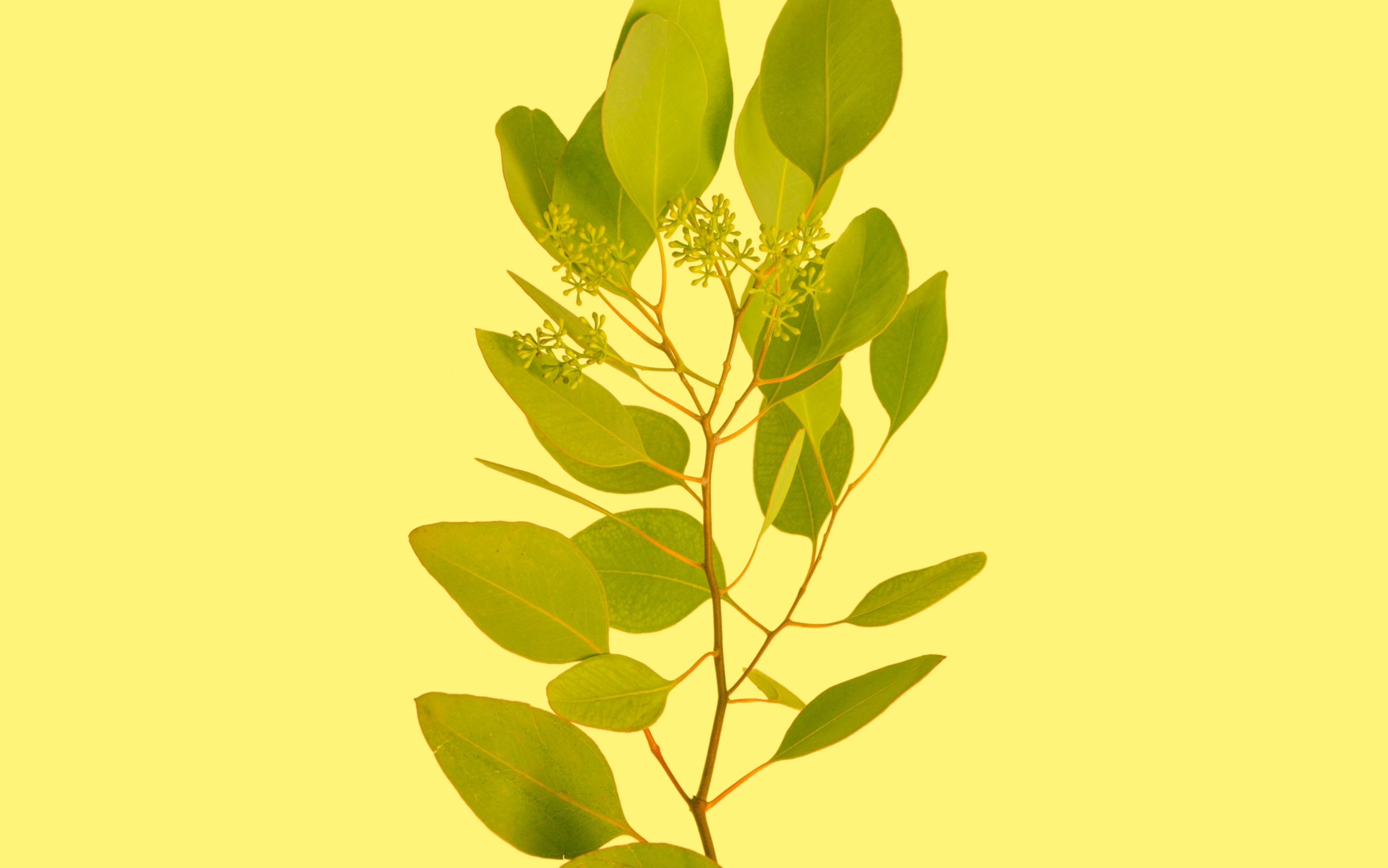 (自用)申论复盘 占塘路零工市场 提建议