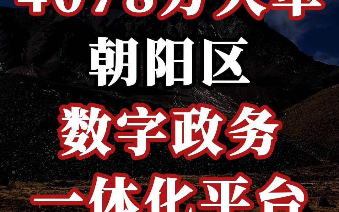 4078 万大单、朝阳区数字政务一体化平台哔哩哔哩bilibili