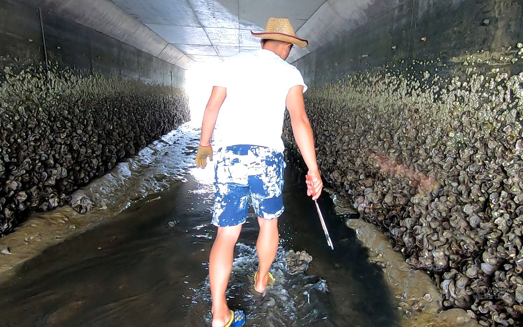 阿波赶海发现一个"防空洞",进去看到很多大货,抓得不想出来了