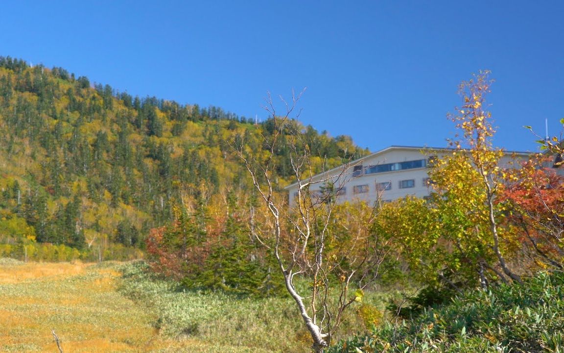 立山 弥陀高原 红叶&云海&夜景 Autumn Leaves, Sea Of Clouds & Night View哔哩哔哩bilibili