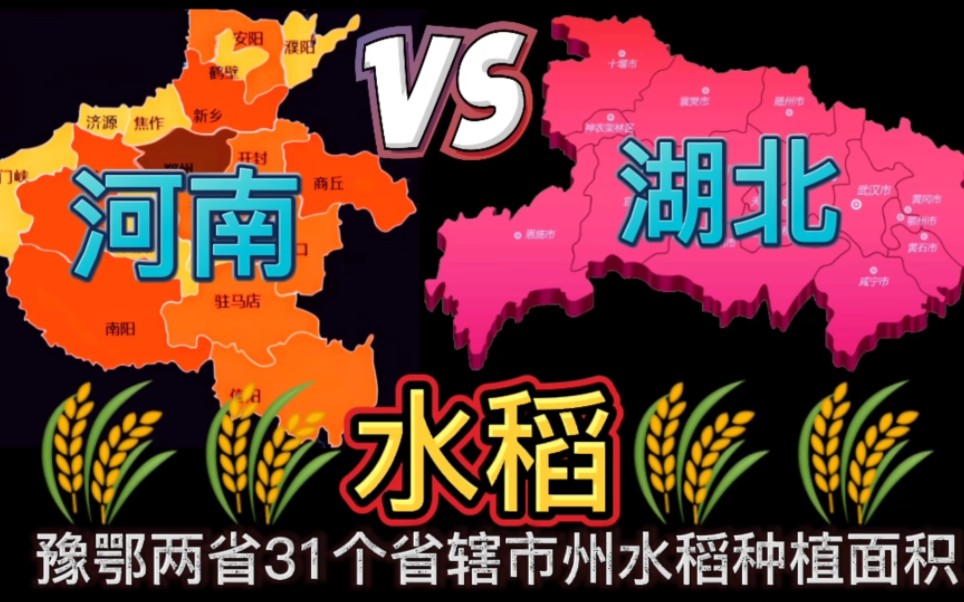 河南与湖北:两省31个市州水稻种植面积排行榜,河南信阳市拿下第一!哔哩哔哩bilibili