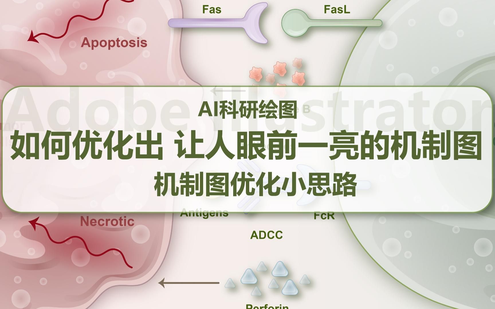 弗雷赛斯 | 使用AI精细优化科研绘图,300变3000的图都是怎么画出来的?来看看这些机制图优化小思路,审稿人看了都眼前一亮!哔哩哔哩bilibili