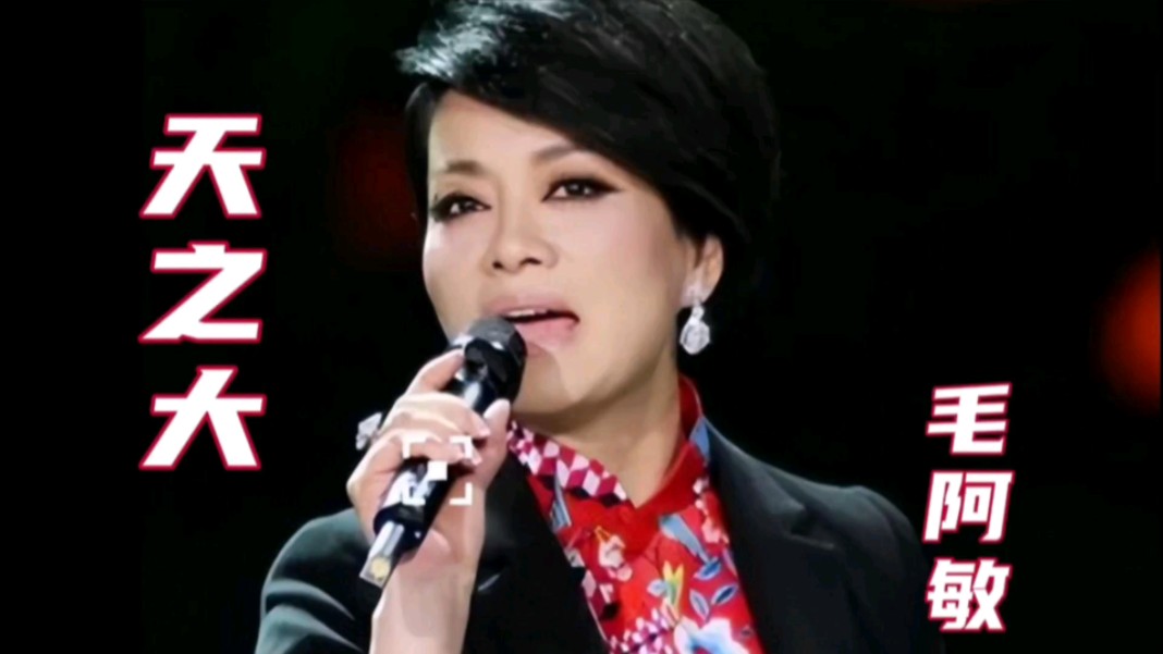 《天之大》--毛阿敏,祝所有的母亲身体健康!
