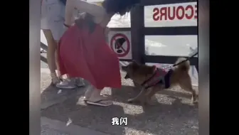 “动物偷袭人类瞬间”