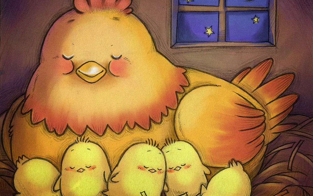 母鸡妈妈带着小鸡觅食瞬间_哔哩哔哩 (゜-゜)つロ 干杯~-bilibili