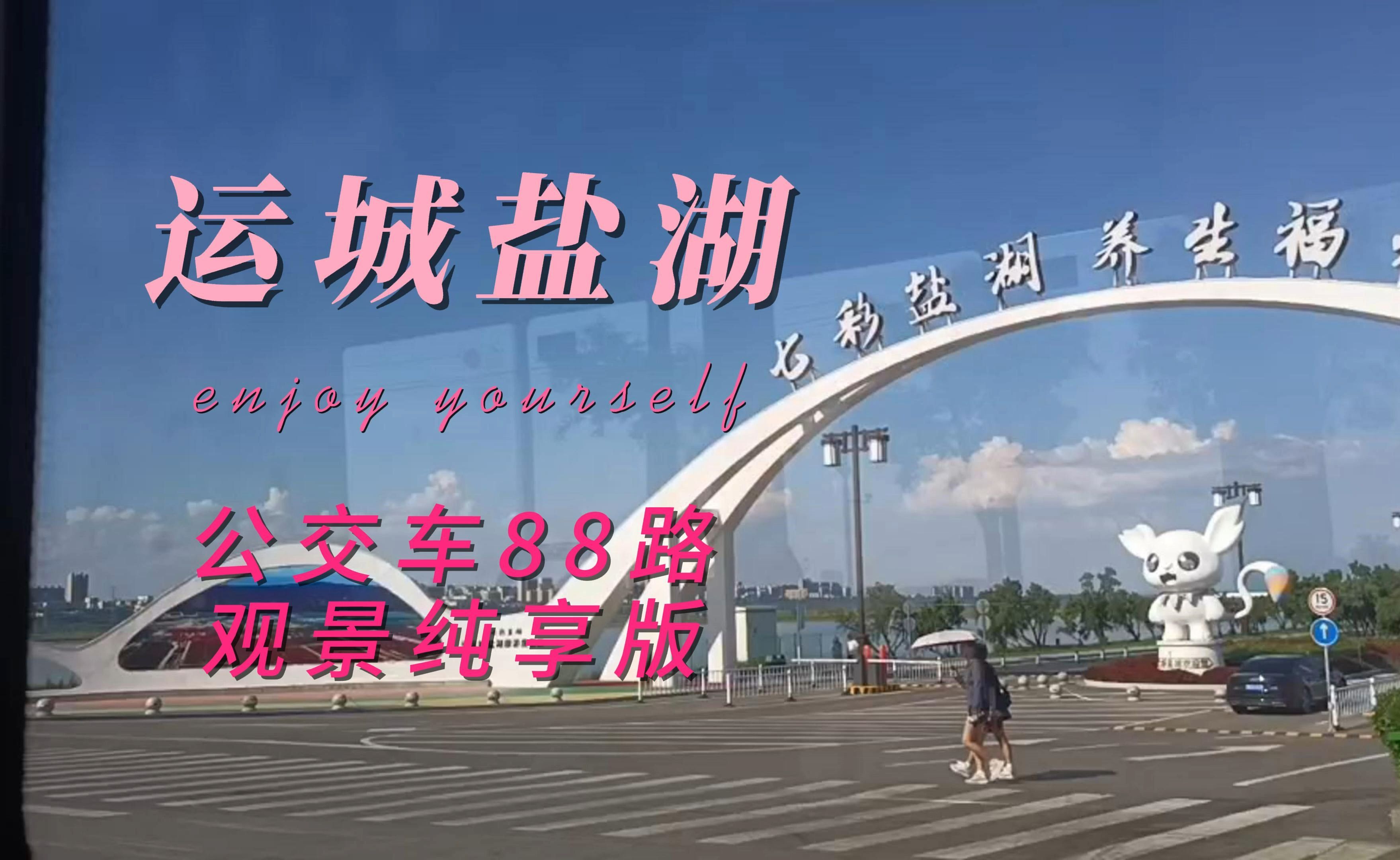 运城盐湖 公交车88路 观景纯享版 夏日出行