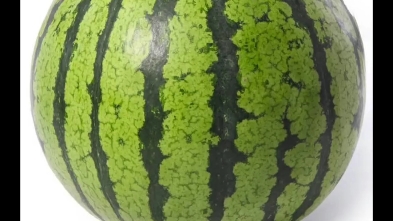 家人们给你们看个大瓜