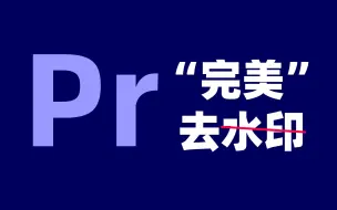 Download Video: PR教程-1分钟教会你“完美”去掉视频水印方法！结合第三种无敌！