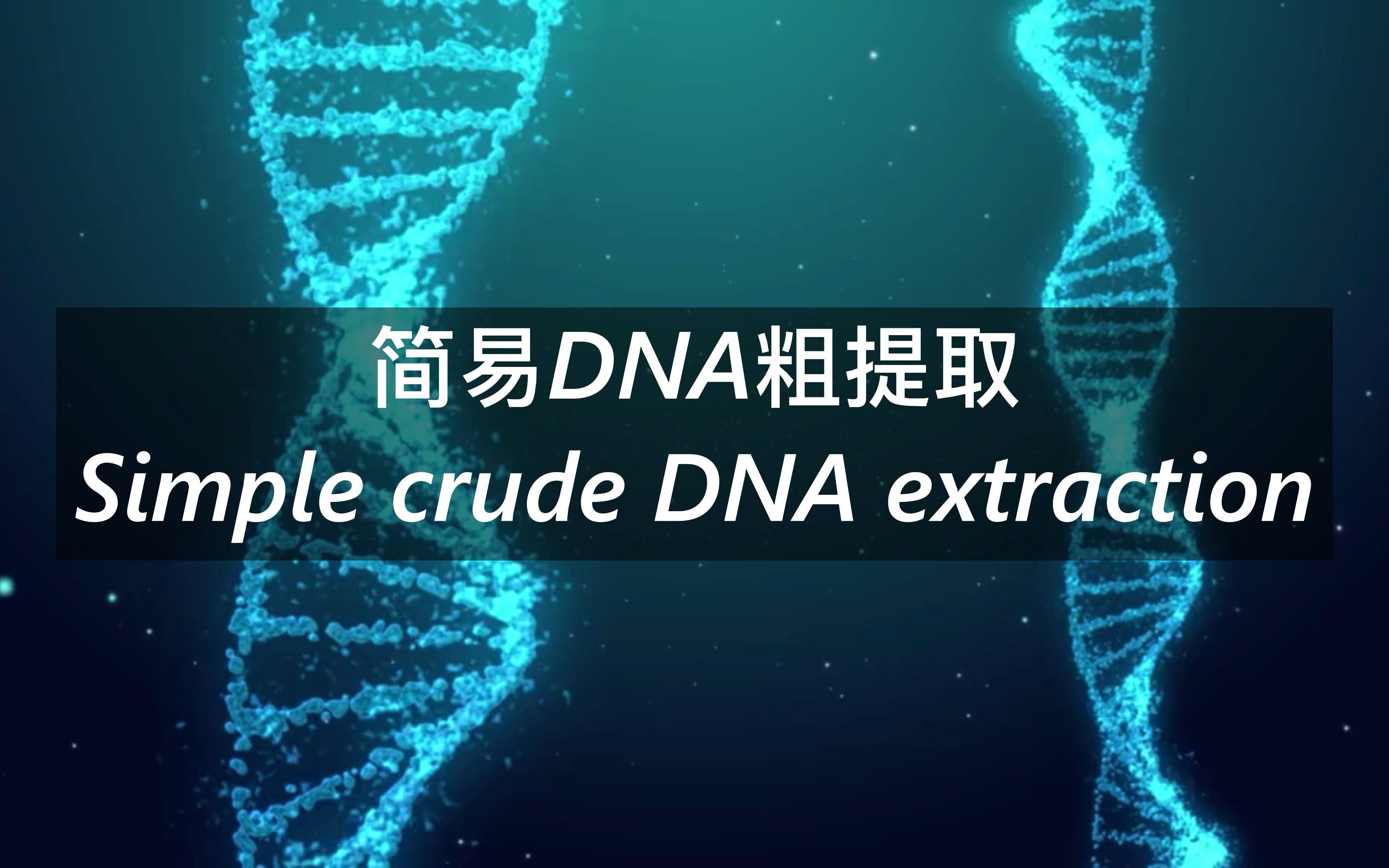 高中生物实验 简易DNA粗提取 4K UHD哔哩哔哩bilibili