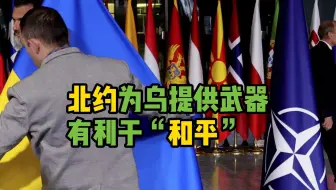 火上浇油？北约秘书长：北约为乌提供武器有利于“和平”