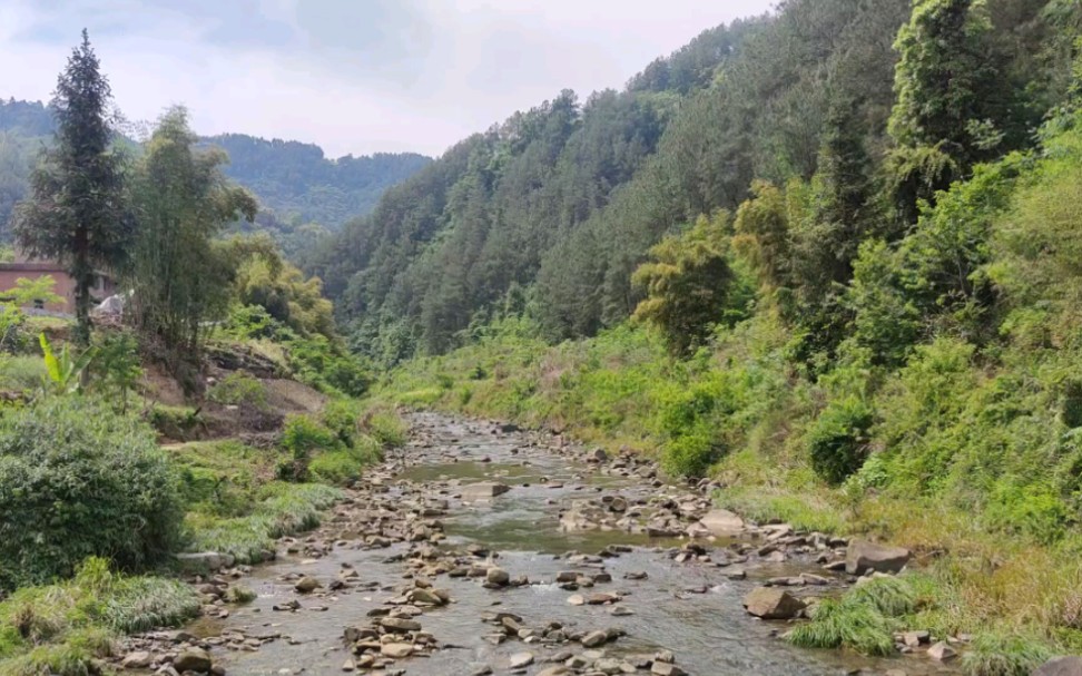 原生态山林小河沟