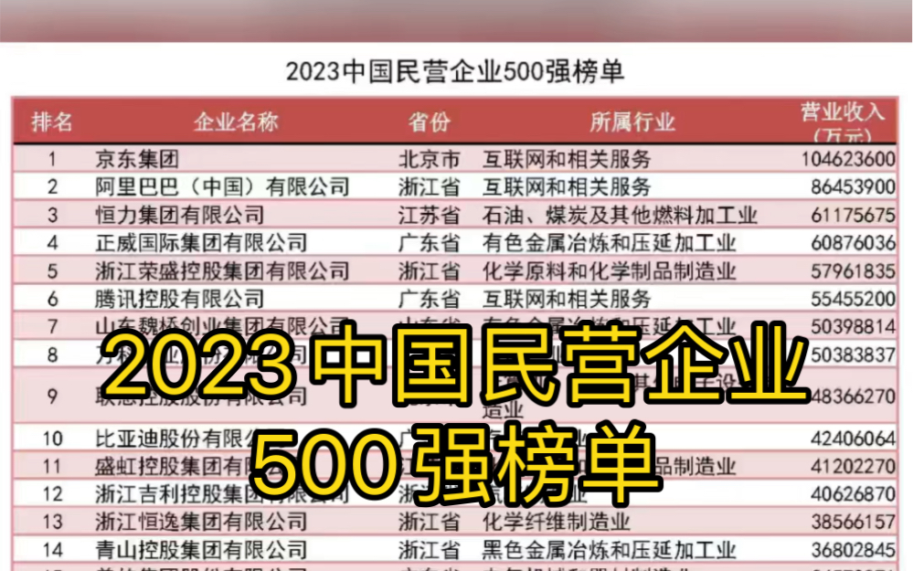 2023中国民营企业500强榜单,看看自己的单位在第几!哔哩哔哩bilibili