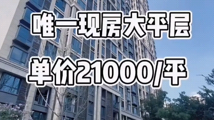 金水区唯一现房大平层单价21000一平哔哩哔哩bilibili