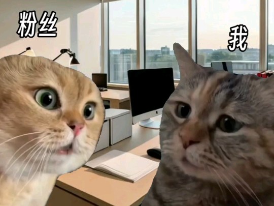 【猫meme】《关于我来b站的这件事》