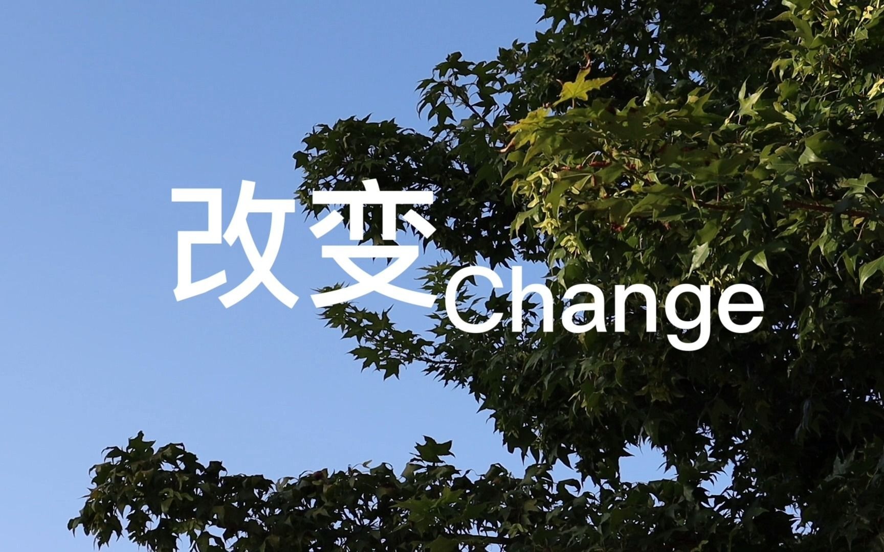 第十七组改变change