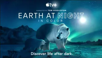 Apple Tv 夜色中的地球第1季全6集1080p中英文双语字幕earth At Night In Color 哔哩哔哩 Bilibili
