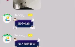 下载视频: 【不呆】呆呆你怎么回事，这么久没见你怎么潦草这么多，但还是热情小狗呢。