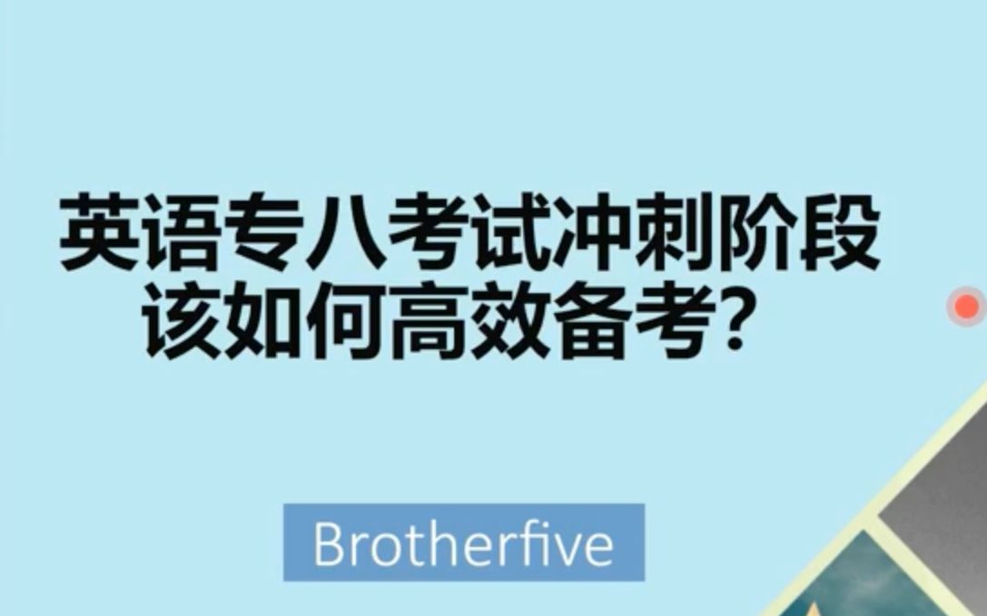 英语专业八级考试冲刺阶段该如何高效备考?哔哩哔哩bilibili